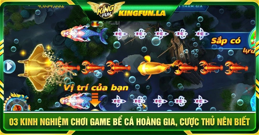 03 kinh nghiệm chơi game Bể Cá Hoàng Gia, cược thủ nên biết